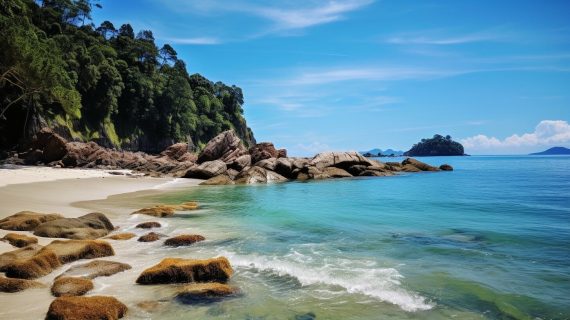 Pantai Cemara Lampung Timur – Liburan Seru di Pantai Paling Menarik