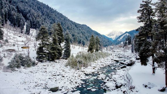 Tips Traveling Ke Kashmir